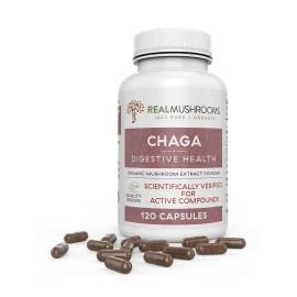 GÉLULES DE CHAMPIGNONS CHAGA PAR REAL MUSHROOMS