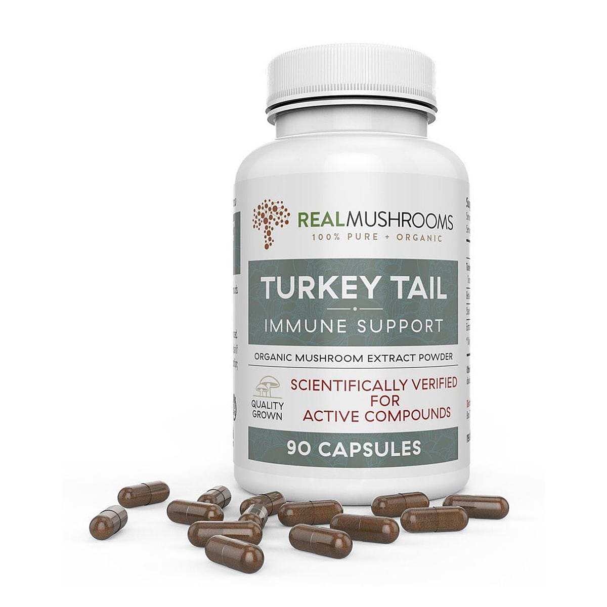 turkey-tail-mushroom-capsules-1